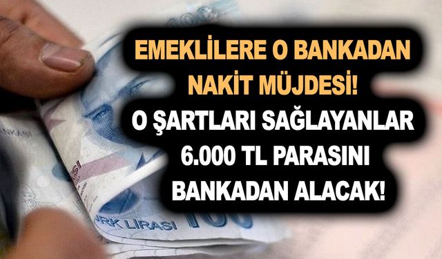 Emeklilere o bankadan nakit müjdesi! O şartları sağlayanlar 6.000 TL parasını bankadan alacak