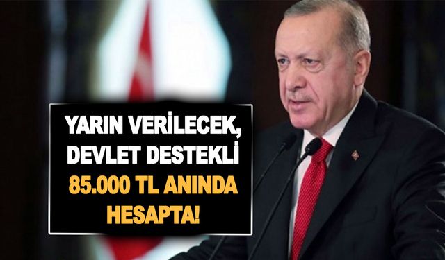 TC vatandaşı olanlara yarın 23 Aralık'ta verilecek, devlet destekli 85.000 TL anında hesapta!