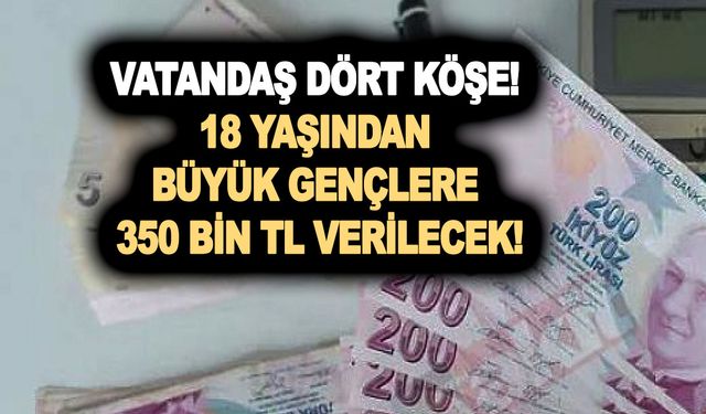 Vatandaş dört köşe oldu! 18 yaşından büyük gençlere 350 bin TL verilecek!