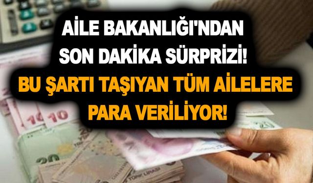 Aile Bakanlığı'ndan son dakika sürprizi! Bu şartı taşıyan tüm ailelere para veriliyor!