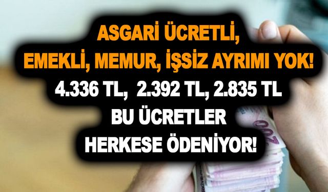 Asgari ücretli, emekli, memur, işsiz ayrımı yok! 4.336 TL,  2.392 TL, 2.835 TL bu ücretler herkese ödeniyor