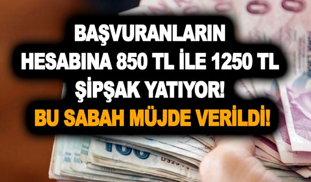 Başvuranların hesabına 3300 TL şipşak yatıyor! Bu sabah müjde verildi! Hızır gibi yetişti!