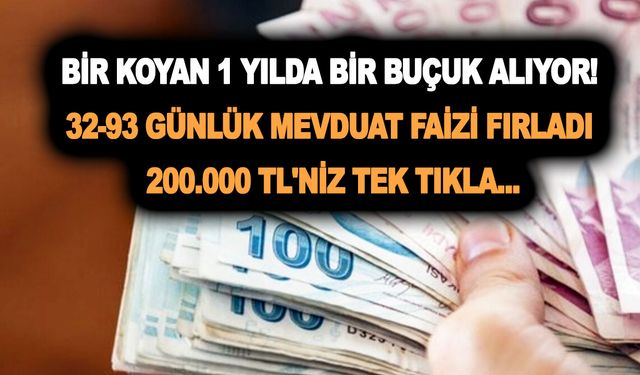 Bir koyan 1 yılda bir buçuk alıyor! 32-93 günlük mevduat faizi fırladı! 200.000 TL'niz tek tıkla...