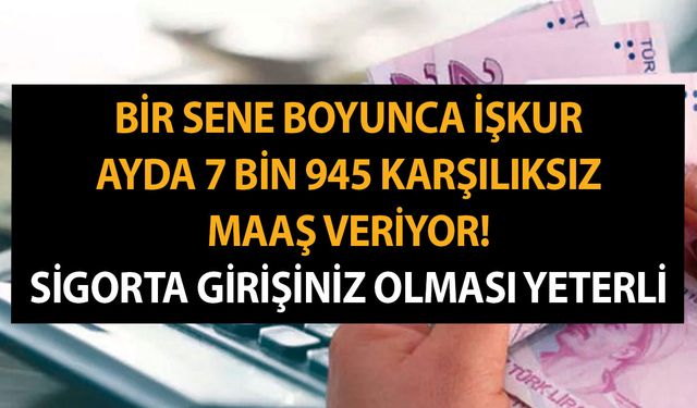 Bir sene boyunca İŞKUR ayda 7 bin 945 karşılıksız maaş veriyor! Sigorta girişiniz olması yeterli