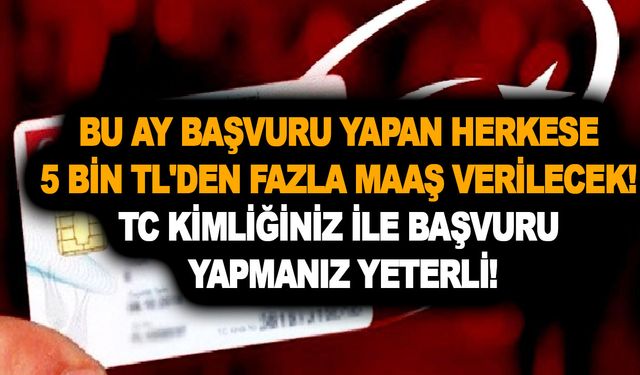 Bu ay başvuru yapan herkese 5 bin TL'den fazla maaş verilecek! TC kimliğiniz ile başvuru yapmanız yeterli!