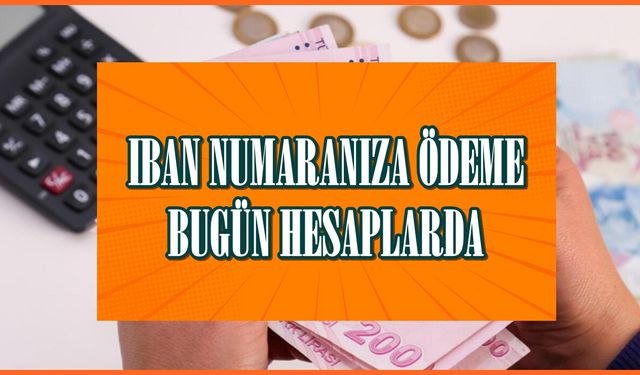 BUGÜN saatler 13:00 Gösterdiğinde, IBAN numaranıza ödeme olacak: TC kimlik numarası ile ödeme alacaksınız