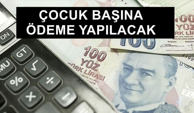 Çocuğu olan ailelere yeni müjde, nakit para yardımı başladı! Yarın ve 12-13 Ocak'ta hesaplarınıza bakın!