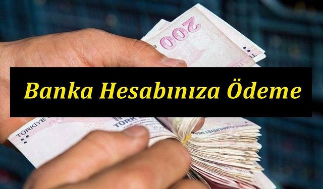 Devlet destek ödemeleri güncellendi! 550 TL, 1.200 TL ve 1.800 TL ödemeler 18-19 ve 20 Ocak'ta hesapta!