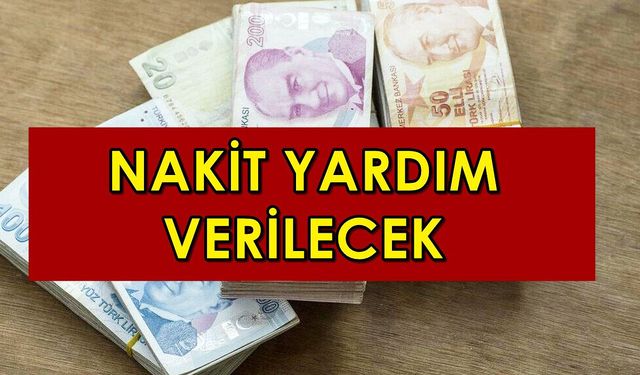 E-devlet üzerinden başvuranlar toplam 2100 TL ödeme alıyor! 15 gün içinde...