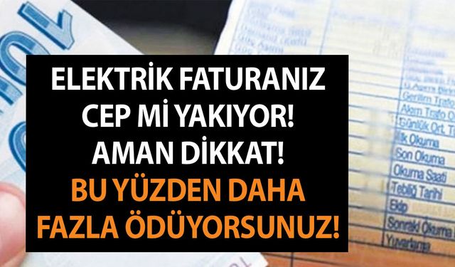 Elektrik faturanız cep mi yakıyor! Aman dikkat! Bu yüzden daha fazla ödüyorsunuz!