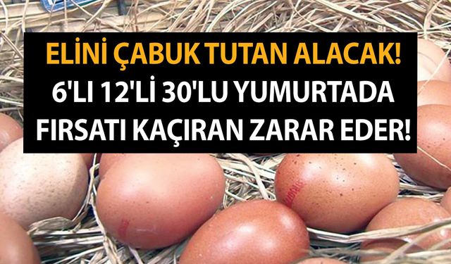 Elini çabuk tutan alacak! 6'lı 12'li 30'lu yumurtada fırsatı kaçıran zarar eder! Markete giden poşetleri dolu çıkıyor!