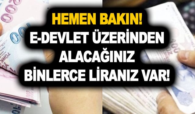 Hemen bakın! E-devlet üzerinden alacağınız binlerce liranız var! Şahıs ödemeleri, BES, bankada kalan paralar...