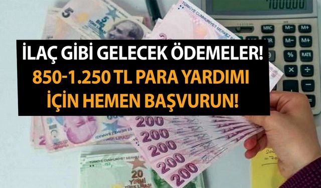 ASHB başvuru ekranını açtı! İlaç gibi gelecek ödemeler başlıyor! 850-1.250 TL para yardımı için hemen başvurun!