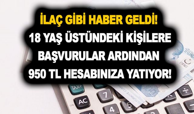 İlaç gibi haber geldi! 18 yaş üstündeki kişiler için başvurular ardından 950 TL hesabınıza yatıyor!