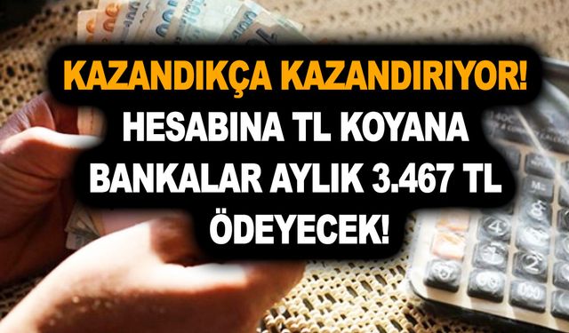 Mevduatlara çılgın zam! Kazandıkça kazandırıyor! Hesabına TL koyana bankalar aylık 3.467 TL ödeyecek!