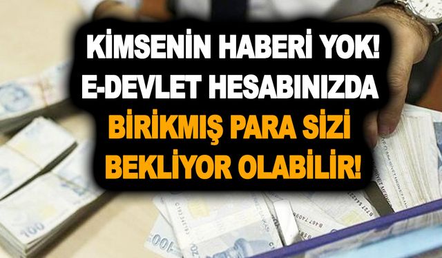 Bu parayı duyan ambale oluyor! Kimsenin haberi yok! E-devlet hesabınızda birikmiş para sizi bekliyor olabilir!