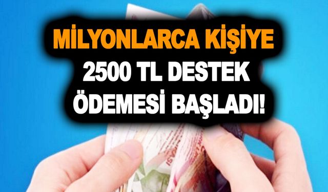 Milyonlarca kişiye 2500 TL destek ödemesi, faturasını e-devlet üzerinden bildirenler yararlanabiliyor!