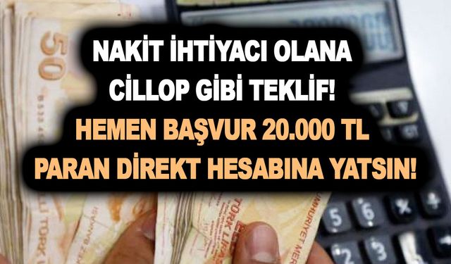 Nakit ihtiyacı olana cillop gibi teklif! Hemen başvur 20.000 TL paran direkt hesabına yatsın!