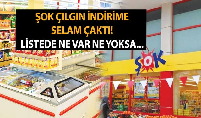 ŞOK yeni aktüel kataloğu görenleri zıvanadan çıkarır! Çılgın indirime selam çakıldı! Listede ne var ne yoksa...