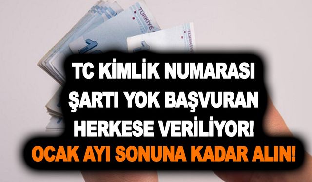 TC kimlik numarası şart yok başvuran herkese veriliyor! Ocak ayı sonuna kadar alın!