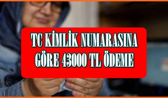 Tc kimlik son rakamları 3-4-5-6-7-8-0 olanlara 43000 TL ödeme haberi doğrulandı! Bankadan kimliğinizle ödeme alın!