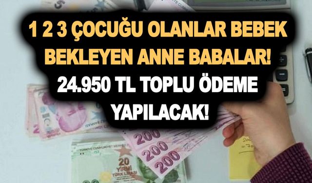 1 2 3 çocuğu olanlar bebek bekleyen anne babalar! 24.950 TL toplu ödeme yapılacak!