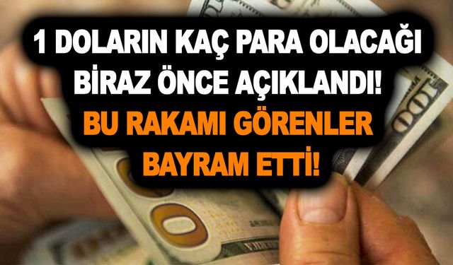 1 doların kaç para olacağı biraz önce açıklandı! Bu rakamı görenler bayram etti, dört köşe oldu! Şimdi bakın