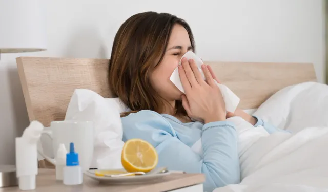 Grip Nasıl Geçer, Gribe İyi Gelen Doğal Besinler Nelerdir?