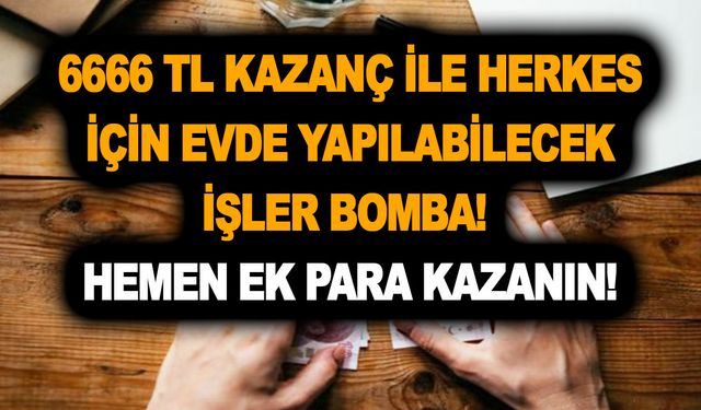 6666 TL kazanç ile herkes için evde yapılabilecek işler bomba! Hemen ek para kazanın!