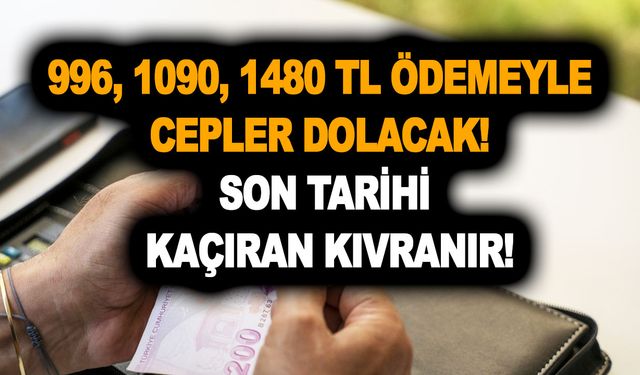 Başvuru yapana görülmemiş para yardımı! 996, 1090, 1480 TL ödemeyle cepler dolacak! Son tarihi kaçıran kıvranır