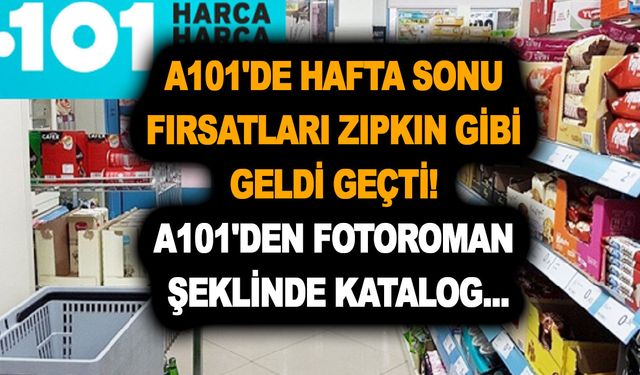 A101'de hafta sonu fırsatları zıpkın gibi geldi geçti! A101'den fotoroman gibi kataloğ...