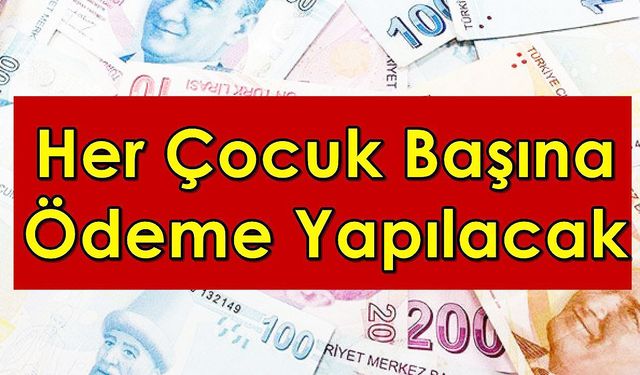 Çocuklu ailelere müjde! Toplam 7800 TL ödeme yapılacak! E- devlet üzerinden online başvurun!