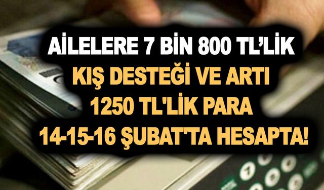 Dar gelirli ailelere 7 bin 800 TL’lik kış desteği ve artı 1250 TL'lik para 14-15-16 Şubat'ta hesapta!