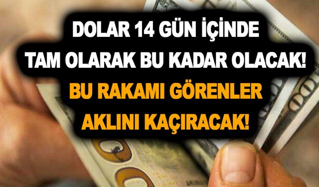 Dolar 14 gün içinde tam olarak bu kadar olacak! Bu rakamı görenler aklını kaçıracak! 1 doları bile olan koşup baksın!