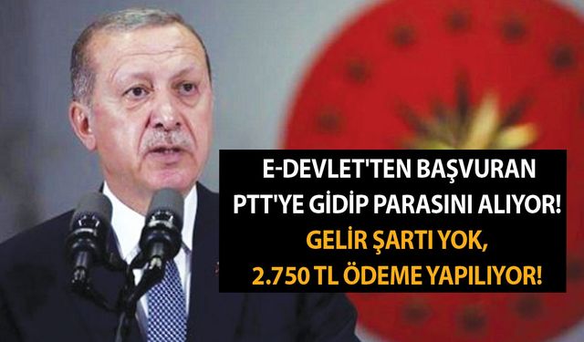 Az önce açıklandı! E-devlet'ten başvuran PTT'ye gidip parasını alıyor! Gelir şartı yok, 2.750 TL ödeme yapılıyor!