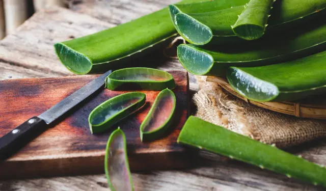 Aloe Vera Nasıl Kullanılır, Faydaları Nelerdir?