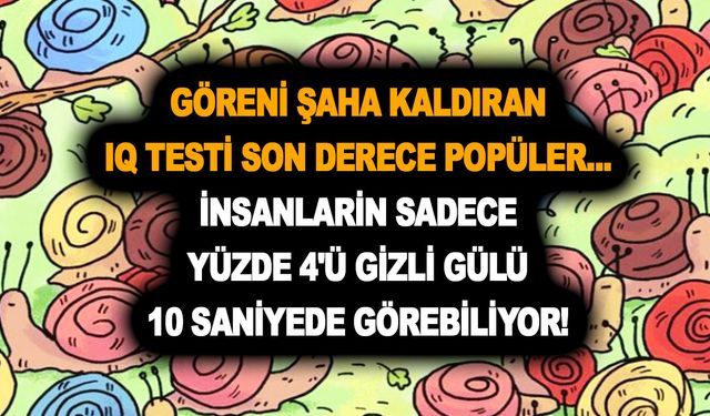 Göreni şaha kaldıran IQ testi son derece popüler... İnsanların sadece yüzde 4'ü gizli gülü 10 saniyede görebiliyor!