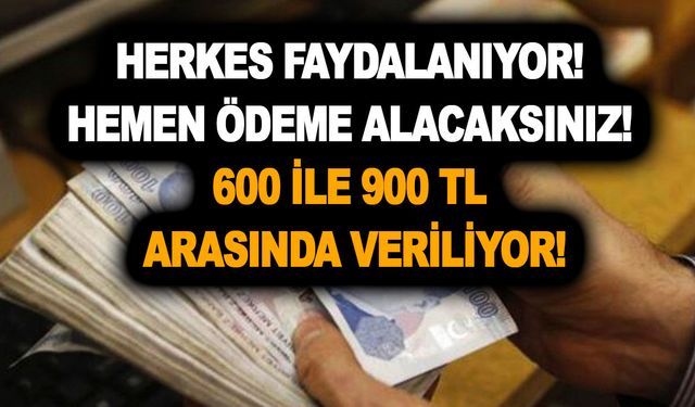 Herkes faydalanıyor! Hemen ödeme alacaksınız! 600 ile 900 TL arasında veriliyor