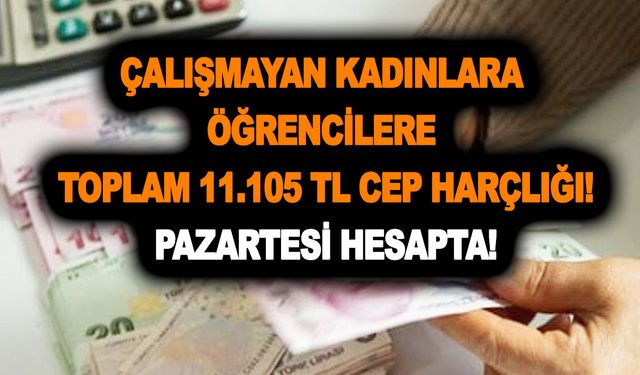 İŞKUR PTT üzerinden veriyor! Çalışmayan kadınlara öğrencilere toplam 11.105 TL cep harçlığı Pazartesi hesapta!