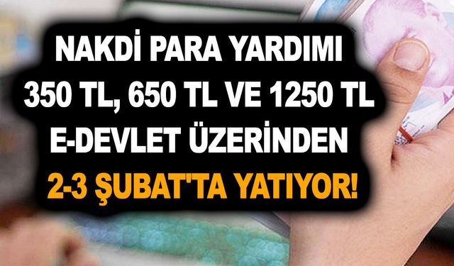 Nakdi para yardımı başvurusu 350 TL, 650 TL ve 1250 TL e-devlet üzerinden 2-3 Şubat'ta yatıyor! Hemen bakın!