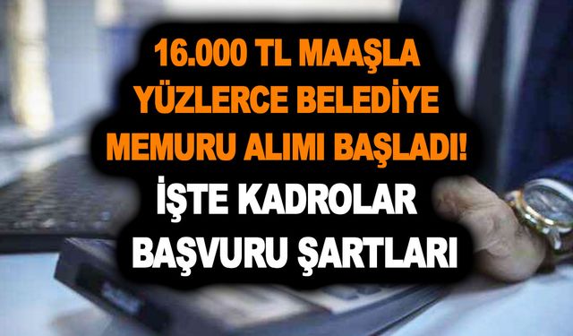 1-31 Mart 16.000 TL maaşla yüzlerce belediye memuru alımı başladı! İşte kadrolar ve başvuru şartları