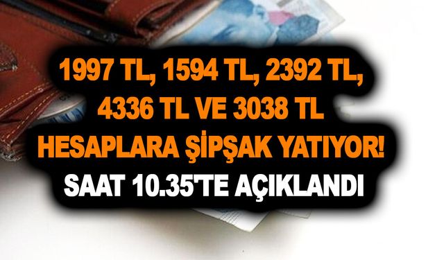 1997 TL, 1594 TL, 2392 TL, 4336 TL ve 3038 TL hesaplara şipşak yatıyor! Saat 10.35'te açıklandı