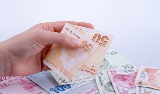 Herkes Bu Ödemeyi Devlete Yapıyor Ama Parasını İade Alabileceğini Bilmiyor!