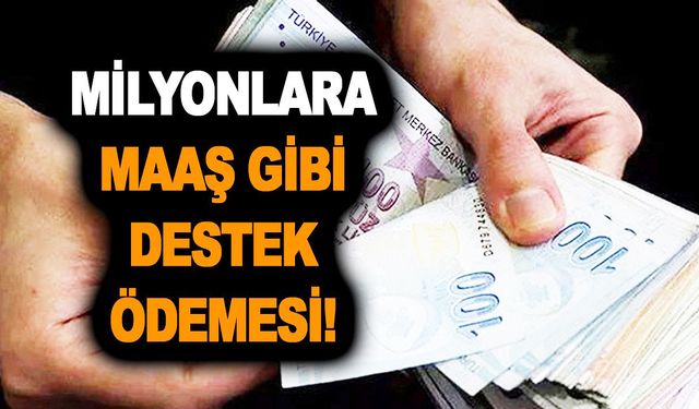 ASHB 2500 TL destek ödemesi yapıyor! Başvurmayan bin pişman! Tak diye hesaplara geçiyor!