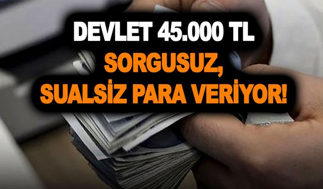 Kredi notu bitik, kara listede olan vatandaşlara ilaç gibi geldi! Devlet 45.000 TL sorgusuz, sualsiz para veriyor