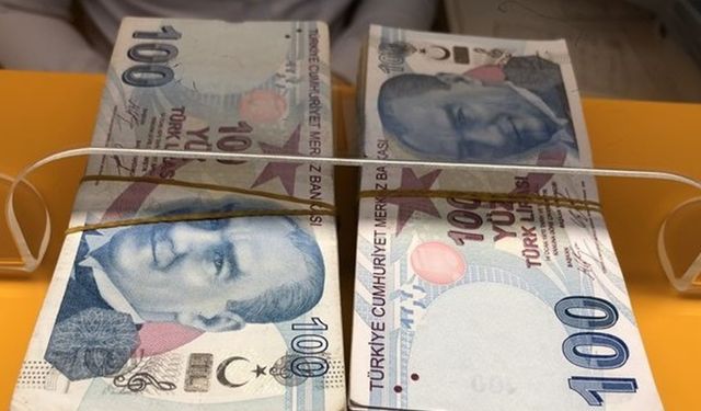 Ev Hanımı Olanlara Bu Bankalar Belgesiz Koşulsuz 50 Bin Lira Kredi Verecek!