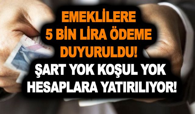 Ziraat Bankası, Vakıfbank emeklilere 5 bin lira ödeme duyuruldu! Şart yok koşul Yok hesaplara yatırılıyor