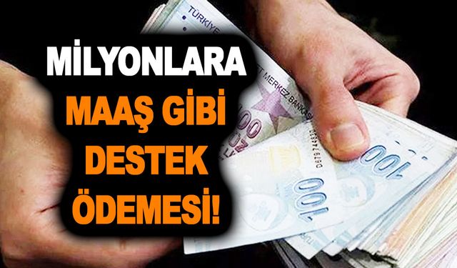 Milyonlara maaş gibi destek ödemesi! Aile ve Sosyal Hizmetler Bakanlığı Mart ayı destek ödemelerini sıraladı!