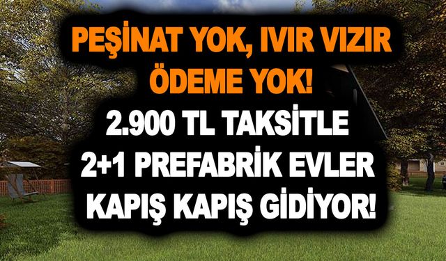 Peşinat yok, ıvır vızır ödeme yok! 2.900 TL taksitle 2+1 prefabrik evler kapış kapış gidiyor!