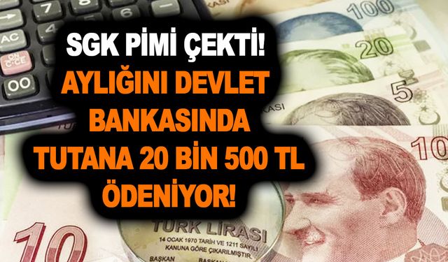 Kaşla göz arasında SGK pimi çekti! Aylığını devlet bankasında tutana 20 bin 500 TL ödeniyor